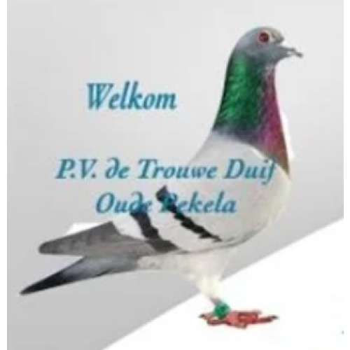 Bonnenverkoop 0137 Trouwe Duif en NIC Oude Pekela 2026