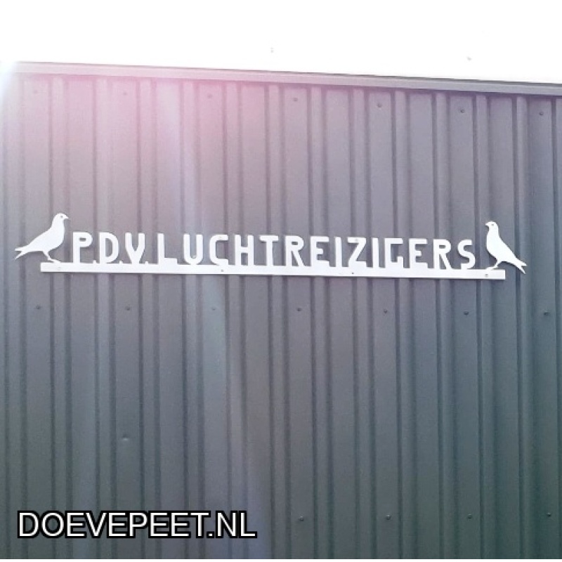 0642 Koop 12 Rudie Mus Jonge duif in overleg