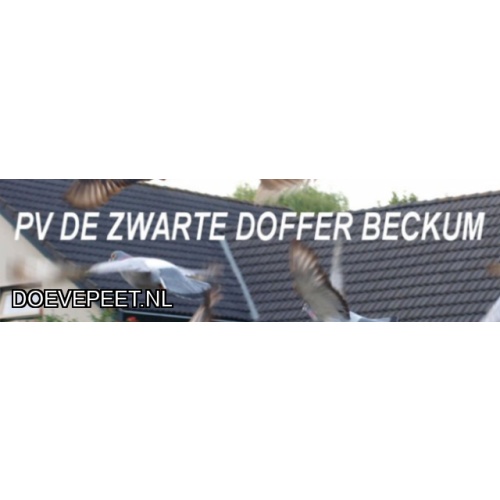 0655 Bon 1 Naam: Wim Willemsen – Hengelo - Jonge duif 3e ronde kwekers in overleg