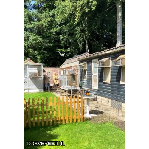 1134 Bon  1.11 H. & J. van den Berg, Apeldoorn – 2 jonge duiven 2026