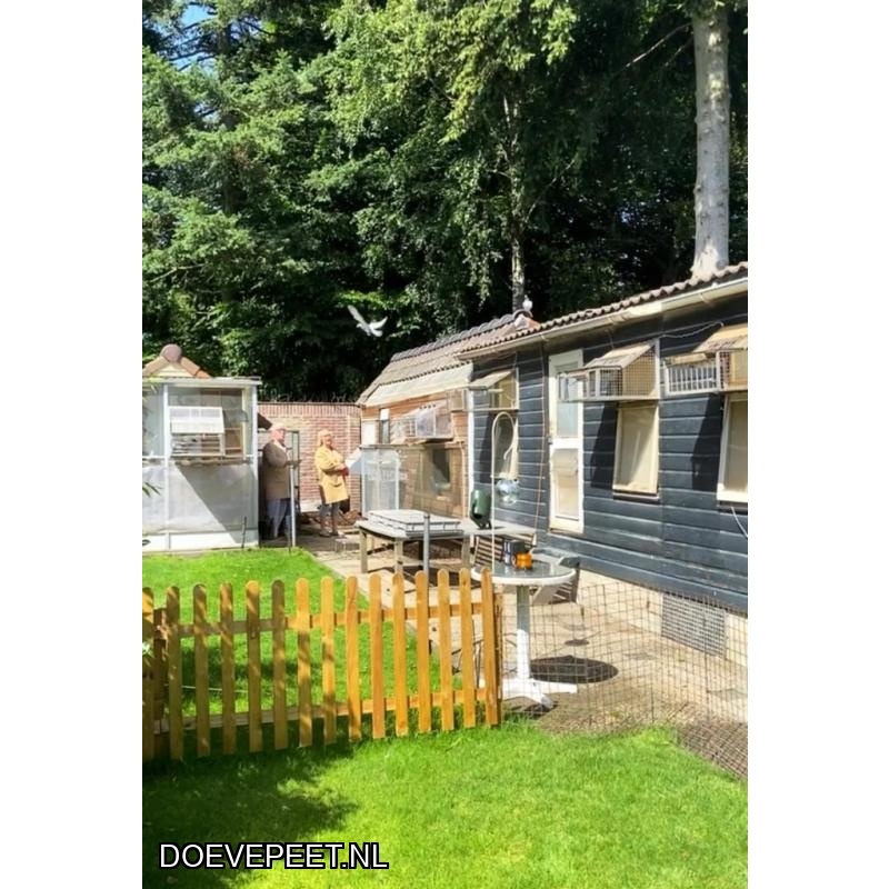 1134 Bon  1.11 H. & J. van den Berg, Apeldoorn – 2 jonge duiven 2026