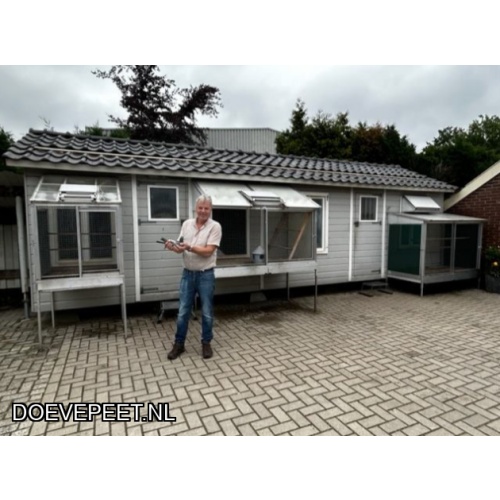 1134 Bon  1.12 H. (Henri) Bosch, Ermelo – 1 jonge duif 2026