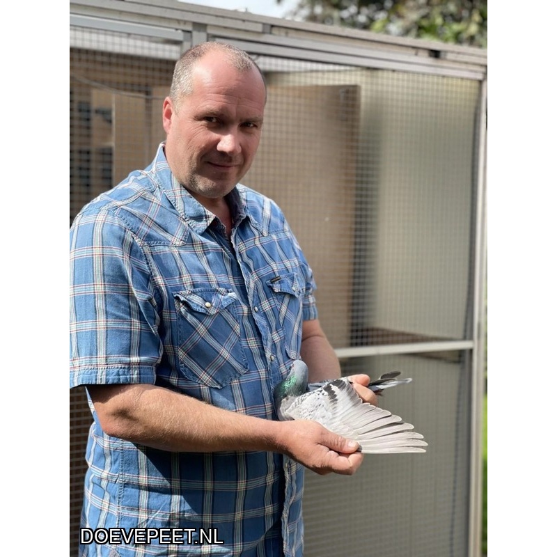 1134 Bon  1.16 Ronald Veenendaal, Buurmalsen – 1 jonge duif 2026