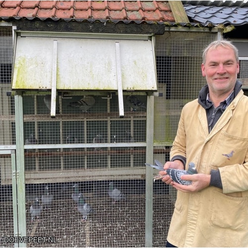 1134 Bon  1.17 Jan Stutvoet, Renswoude – 1 jonge duif 2026