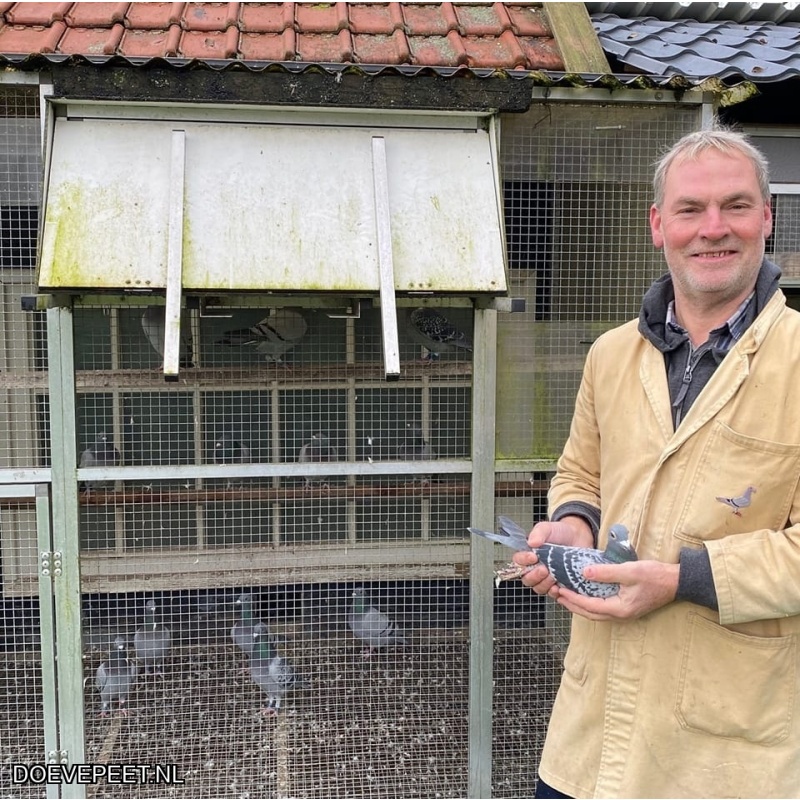 1134 Bon  1.17 Jan Stutvoet, Renswoude – 1 jonge duif 2026