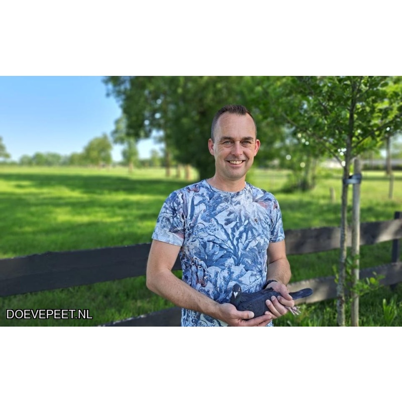 1134 Bon  1.18 B. Timmerman, Staphorst – 1 jonge duif 2026