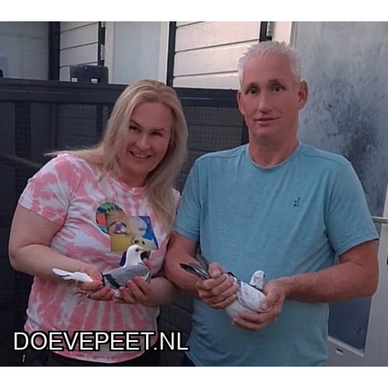 1134 Bon  1.1 Bruce Verbeek, Cothen – 1 jonge duif 2026