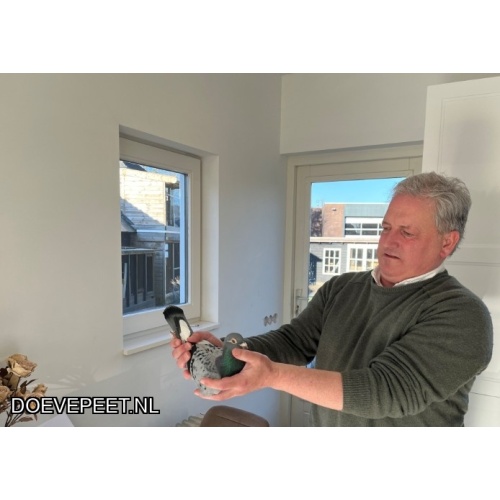 1134 Bon  1.20 De Kroonduif Racing Pigeons, Woudenberg – 1 jonge duif 2026