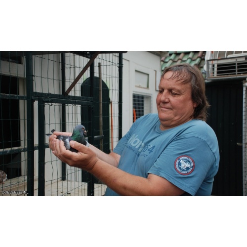 1134 Bon  1.25 Marcel van de Hoef, Baarn – 2 jonge duiven 2026