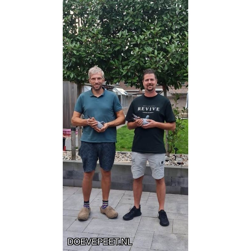 1134 Bon  1.3 Henk van den Langemheen, Nijkerk – 1 jonge duif 2026