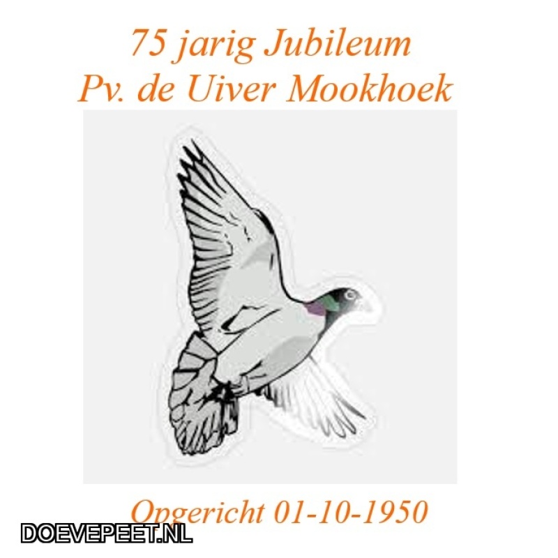 1703 Bon 16 Rik van Dorp & Zn Dordrecht 1 jonge duif 2026 in overleg