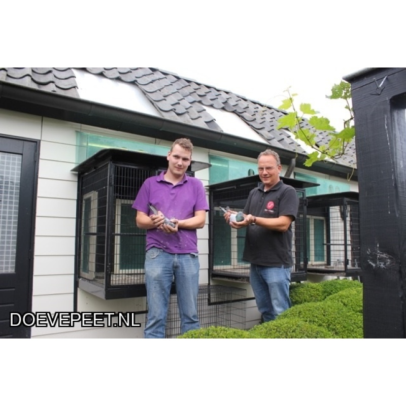 1134 Bon  1.7 Kampert & Zn., Kootwijkerbroek – 1 jonge duif 2026