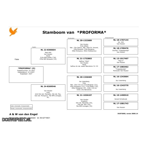 KC: Bon 8: Wessel van den Engel IJsselstein Jonge duif 2027