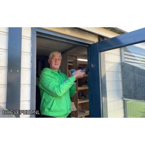 1134 Bon  2.17 Bert Bloemert, Staphorst – 1 jonge duif 2026
