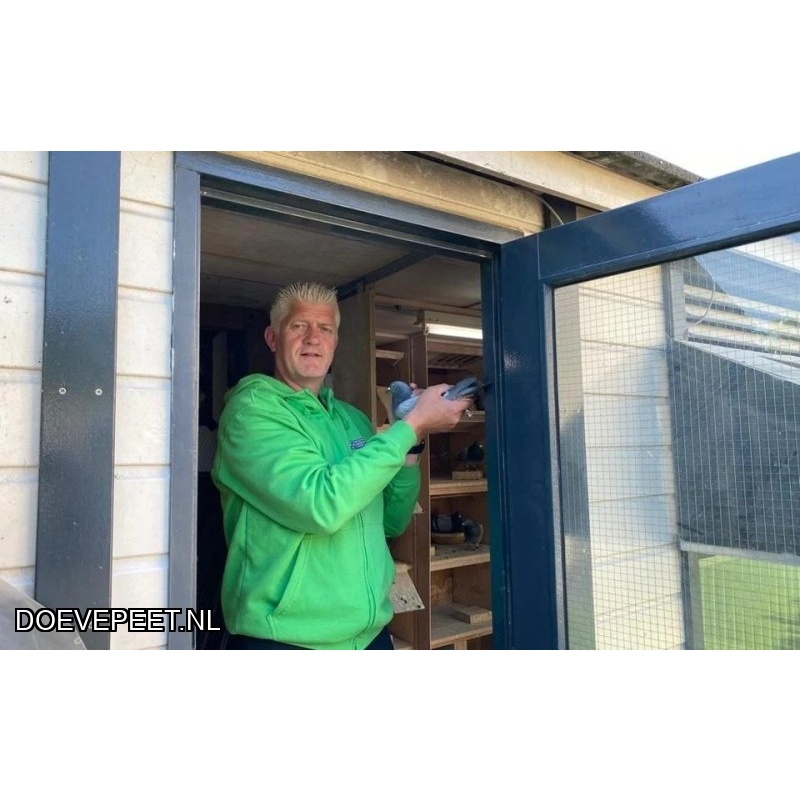 1134 Bon  2.17 Bert Bloemert, Staphorst – 1 jonge duif 2026