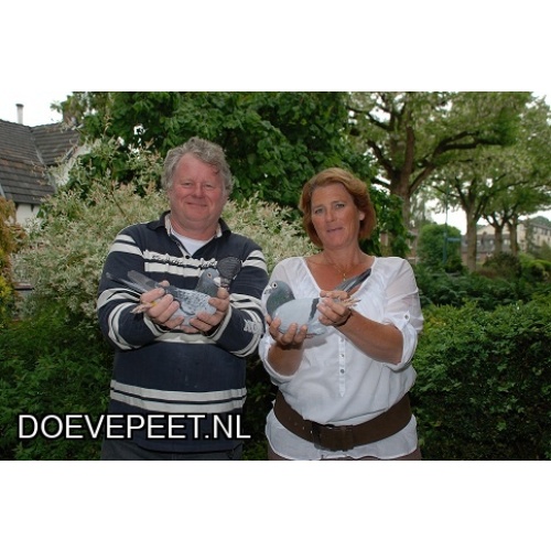 1134 Bon  2.1 Anneke en Pierre Faes, Baarn – 1 jonge duif 2026