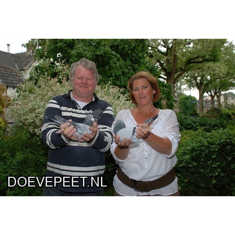 1134 Bon  2.1 Anneke en Pierre Faes, Baarn – 1 jonge duif 2026