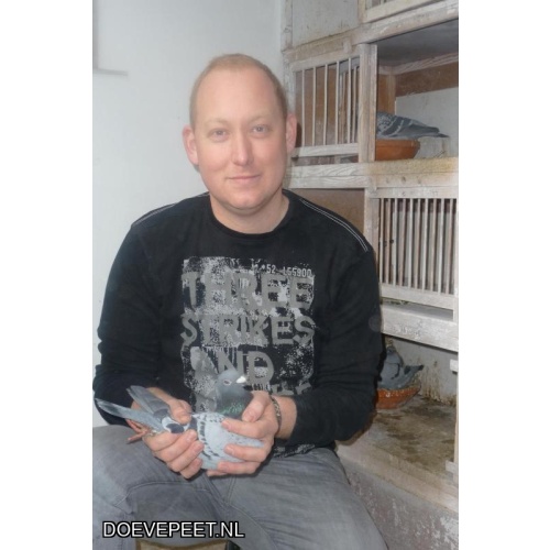 1134 Bon  2.22 Comb. Okhuysen & Zn., Soest – 1 jonge duif 2026