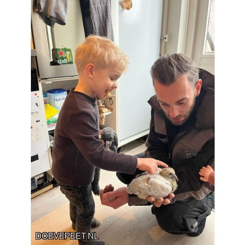 1134 Bon  2.23 J. (Julian) van Vliet, Nijkerk – 2 jonge duiven 2026