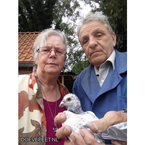 1134 Bon  2.24 H. (Harm) van Essen, Nijkerk – 2 jonge duiven 2026