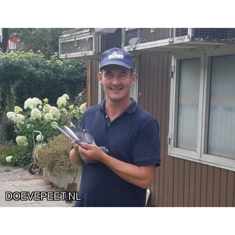 1134 Bon  2.2 A.J. (Jurrian) van Amerongen, Bunnik – 1 jonge duif 2026