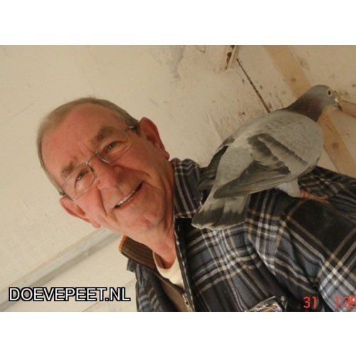 1134 Bon  2.8 W. van den Born, Nijkerk – 2 jonge duiven 2026