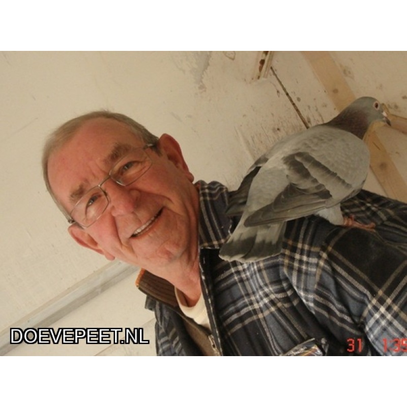 1134 Bon  2.8 W. van den Born, Nijkerk – 2 jonge duiven 2026