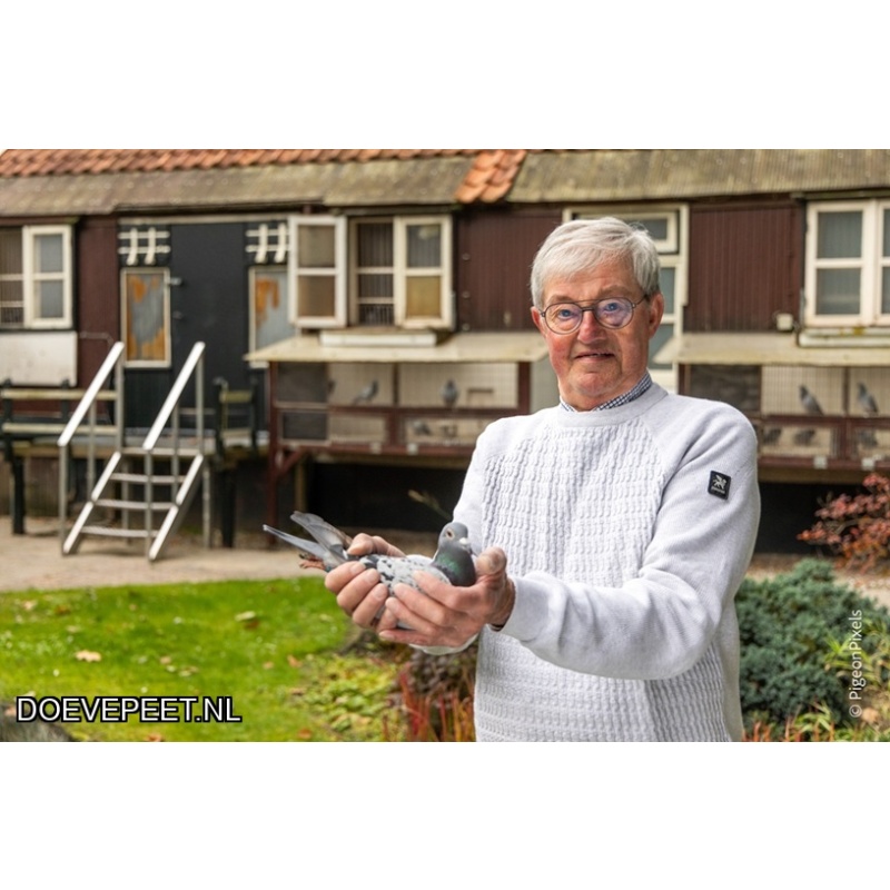 1134 Bon  3.1 Co Verbree, Putten – Laat jong 2025