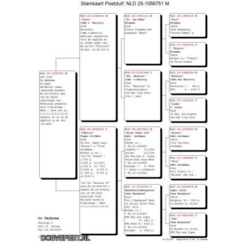 1134 Bon  3.1 Co Verbree, Putten – Laat jong 2025