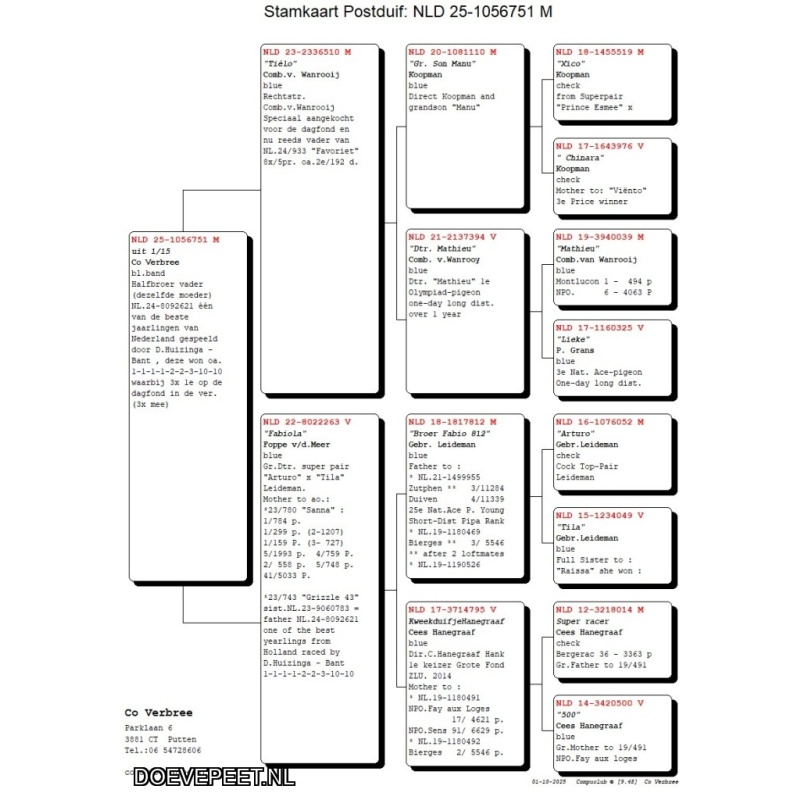 1134 Bon  3.1 Co Verbree, Putten – Laat jong 2025
