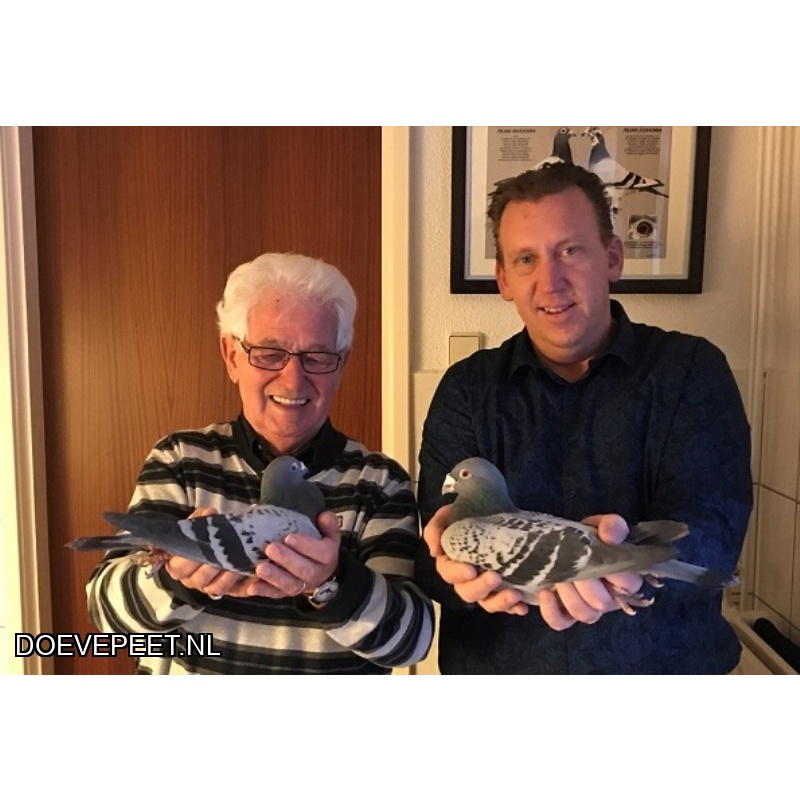 1134 Bon  3.3 Comb. Maas en Zn., Boxmeer (voorheen Zutphen) – Laat jong 2025