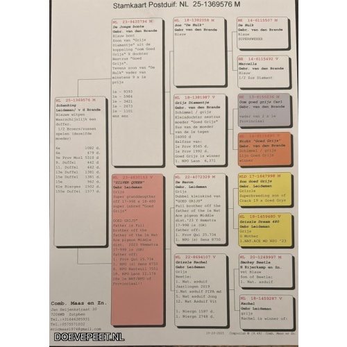 1134 Bon  3.3 Comb. Maas en Zn., Boxmeer (voorheen Zutphen) – Laat jong 2025