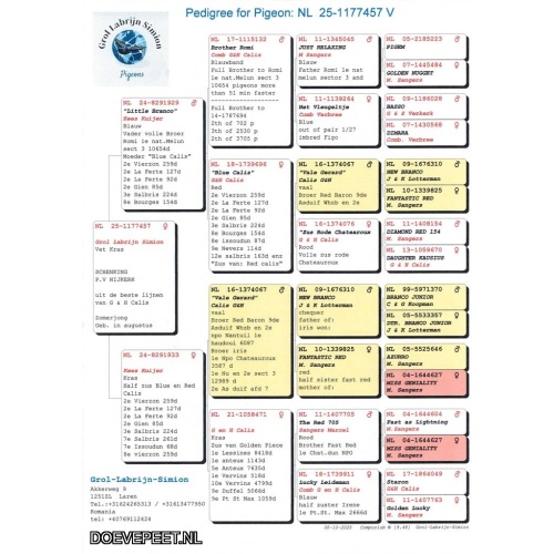 1134 Bon  3.4 Grol-Labrijn-Simion, Laren – Zomerjong 2025