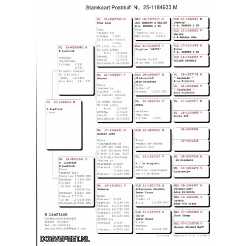 1134 Bon  3.6 Ronnie Lieftink, Nijkerk – laat jong  2025