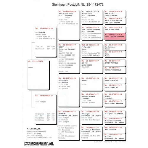 1134 Bon  3.7 Ronnie Lieftink, Nijkerk – laat jong  2025