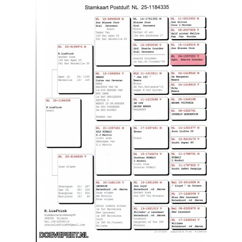 1134 Bon  3.8 Ronnie Lieftink, Nijkerk – laat jong  2025