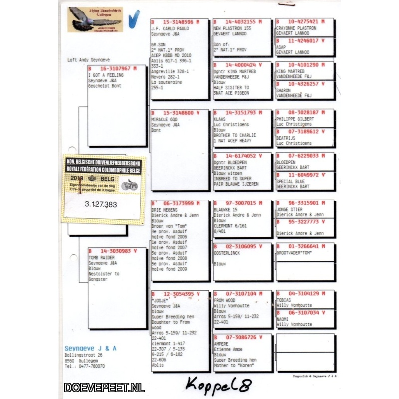 GH Koop 1 BE 2019-3127383 Duivin