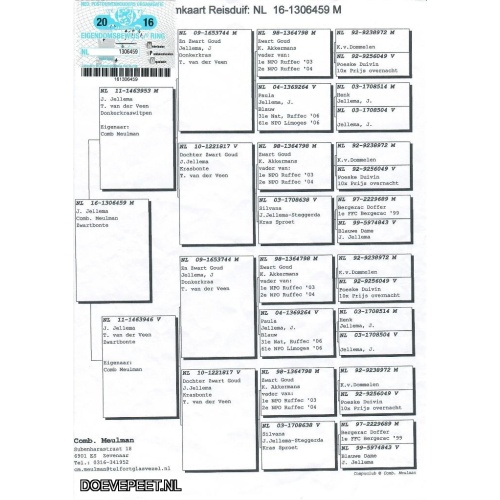NL16-1306459 Jellema soort