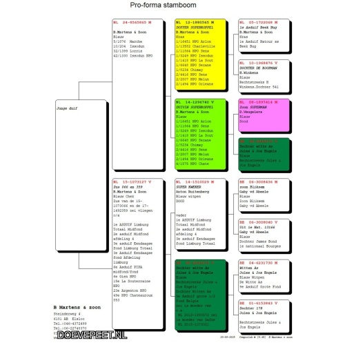 DMP Bon 107 B Martens & Zn – Elsloo