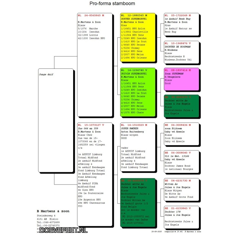 DMP Bon 107 B Martens & Zn – Elsloo