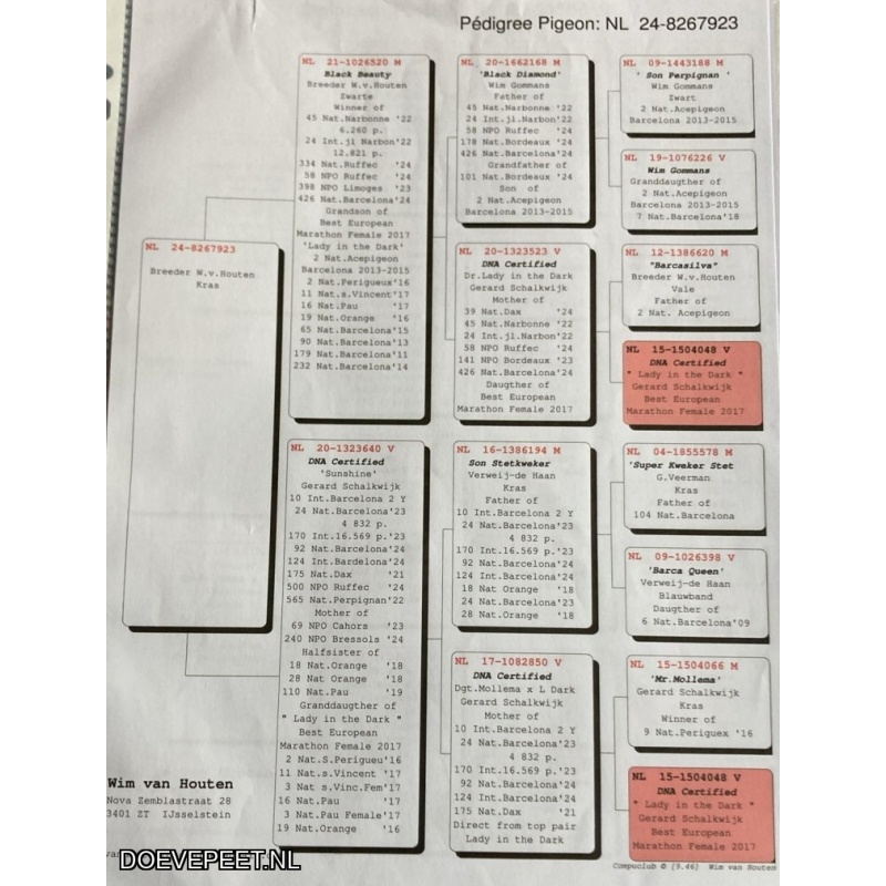 KC Bon 10: Roel Benschop, IJsselstein Koppel jongen 2026