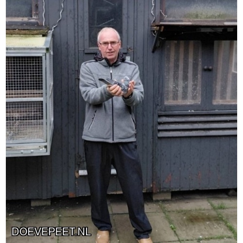 KC Bon 11: Kees van Houten, IJsselstein Jonge duif 2026