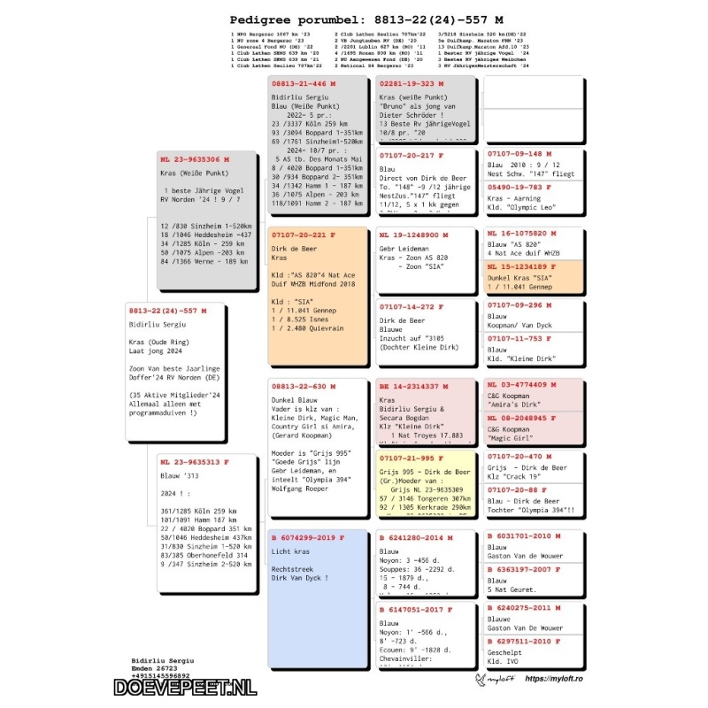 0137 Bon 11: Sergiu Bidirliu Emden zomerjong 2024