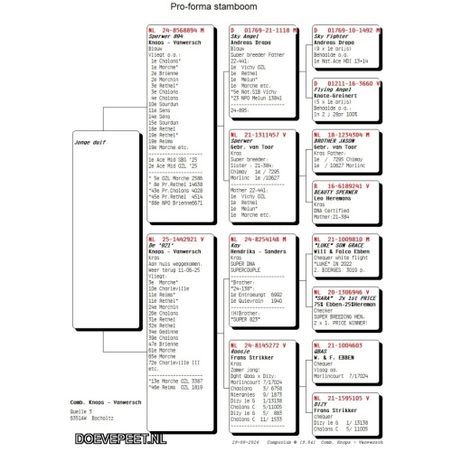 DMP Bon 120 Comb Knops- van Wersch – Bocholtz – Laat jong uit de vliegers 2026