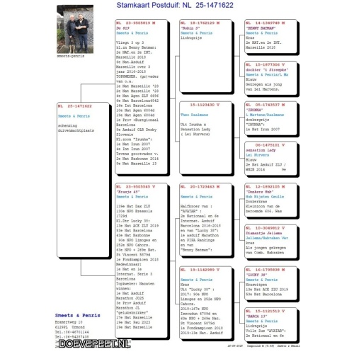 DMP Bon 124 Smeets-Penris – Stein Urmond – Jong 2025