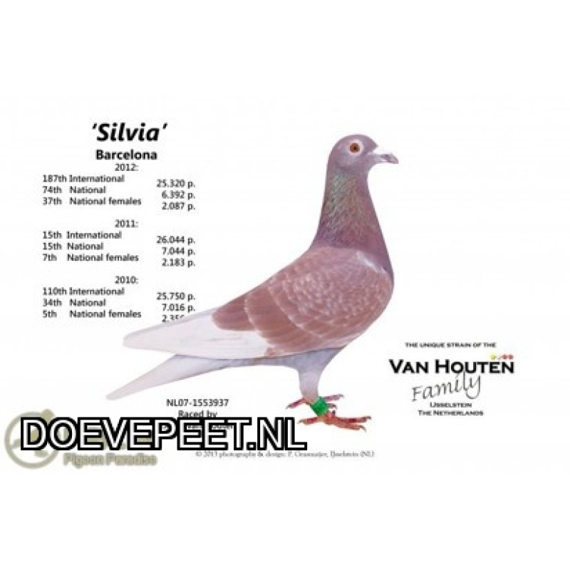 KC: Bon 12: Kris van Houten IJsselstein Koppel jongen of 2 koppels eieren 2027