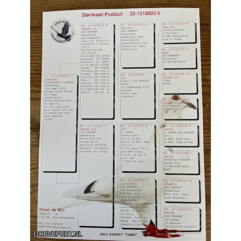 DMP Bon 134 Chiel de Wit – Zuid Scharwoude - een vroeg jong van 2025