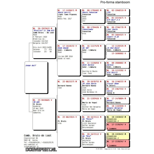DMP Bon 143 Comb. Bruls- de Laat – Venray – jong 2026 voorjaar 1/2