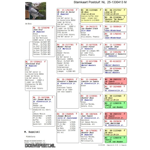 DMP Bon 147 Bram Bugasjki – Middelburg - 1/2 blauw jong