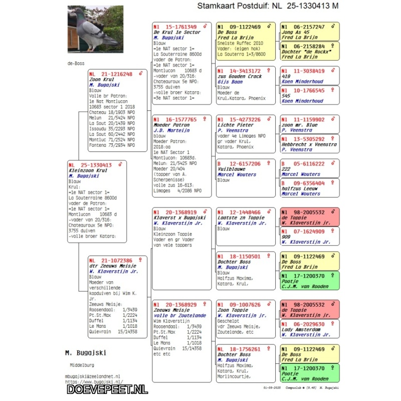 DMP Bon 147 Bram Bugasjki – Middelburg - 1/2 blauw jong